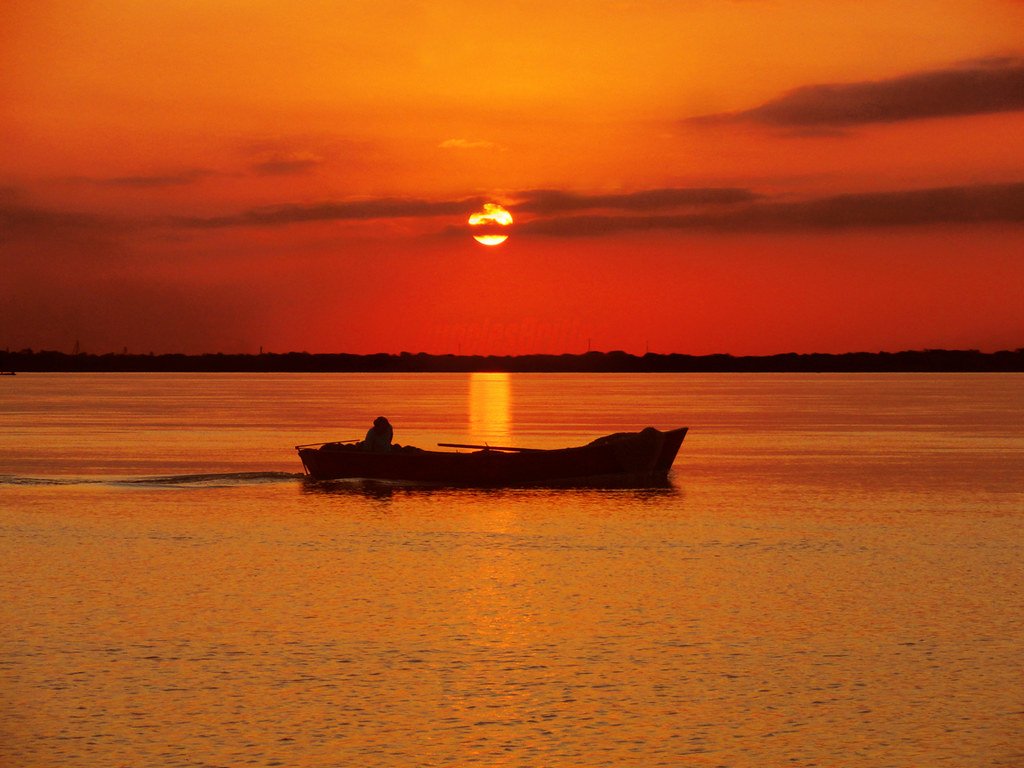 15481043662_1ffc42a178_b (1)