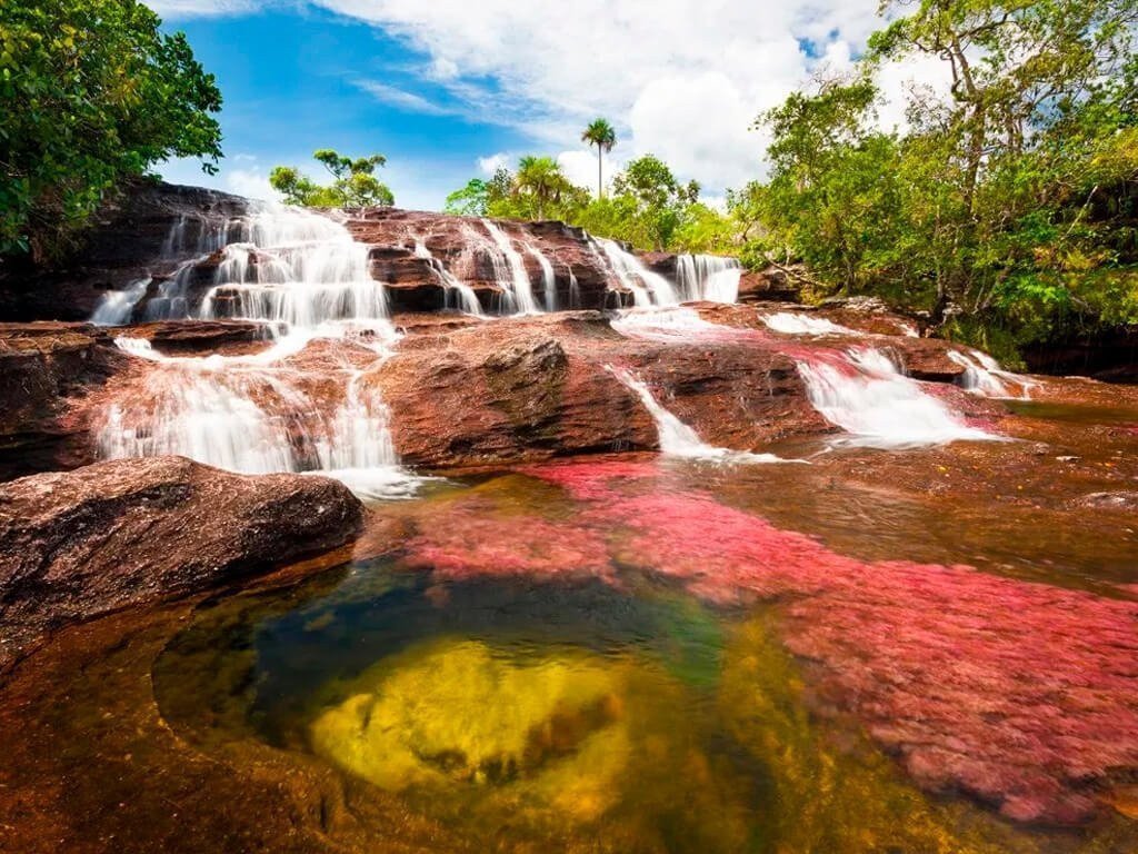 tours+a+caño+cristales